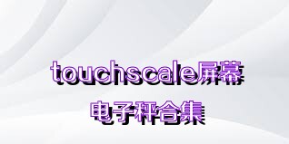 touchscale屏幕电子秤合集