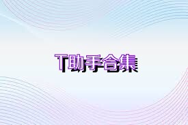 T助手合集