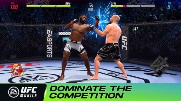 UFC终极格斗冠军2游戏2