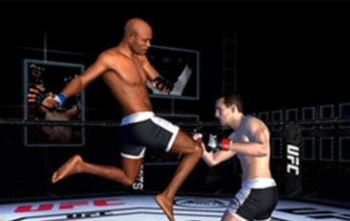UFC终极格斗冠军2游戏3
