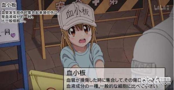工作细胞央视版2