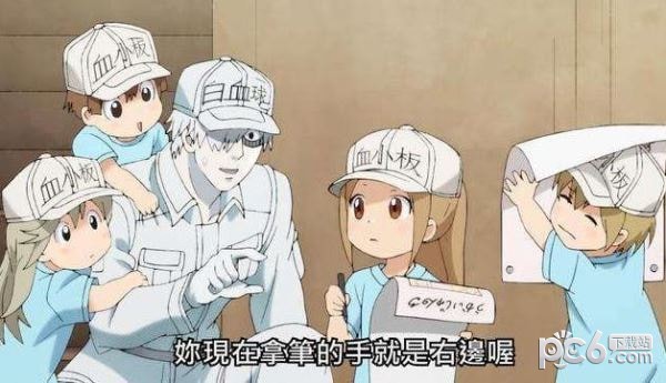 工作细胞央视版4