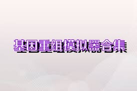 基因重组模拟器合集