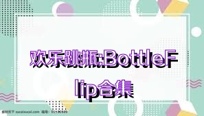 欢乐跳瓶:BottleFlip合集