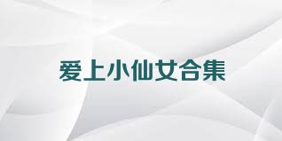 爱上小仙女合集