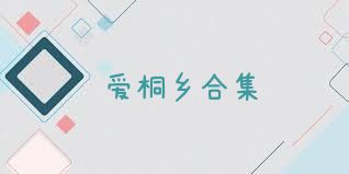 爱桐乡合集