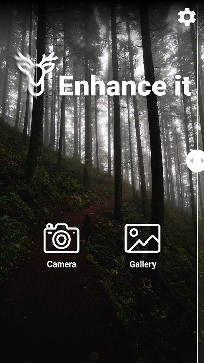 enhance中文版2