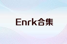 Enrk合集