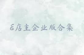 E店主企业版合集