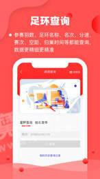 信鸽纵横管理端2