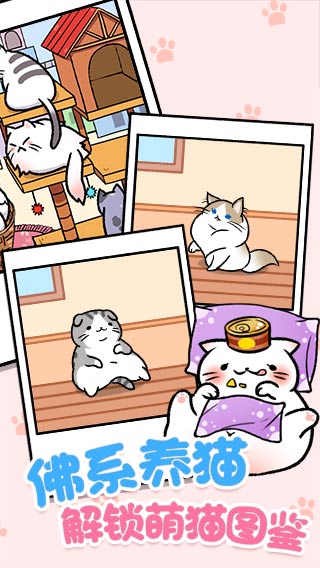 喵咪公寓3