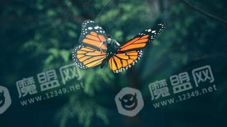 微型人游戏2