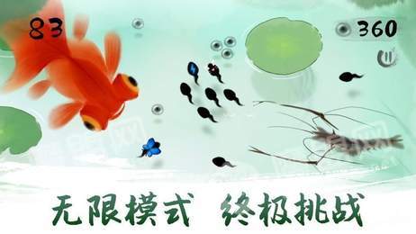鱼戏荷塘2