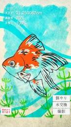 金鱼育成3