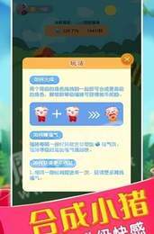 养猪赚大钱1