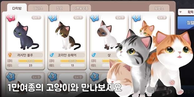 治愈猫咪培育馆游戏2