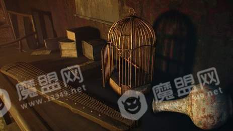 安布吉岛3