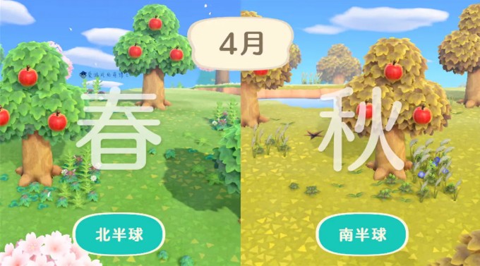 动物森友会 中文版3
