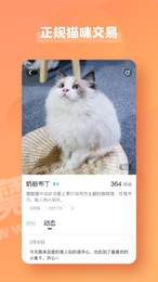 宠酱3