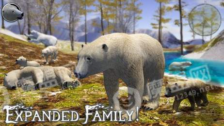 PolarBear22
