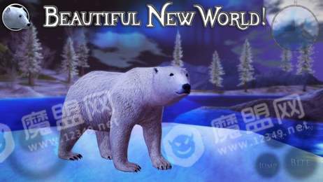 PolarBear23
