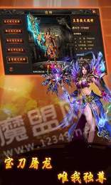 1.95龙神超变单职业1