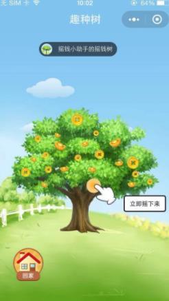 趣种树2