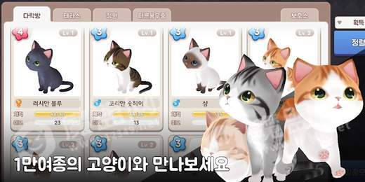 治愈猫咪培育馆1