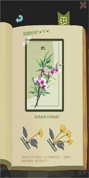 老农种树游戏2