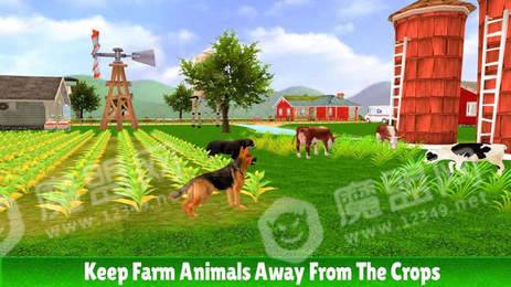 牧羊犬模拟20202