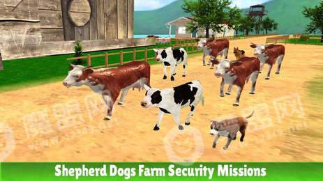 牧羊犬模拟20203