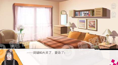 再不瘦就嫁给猪3