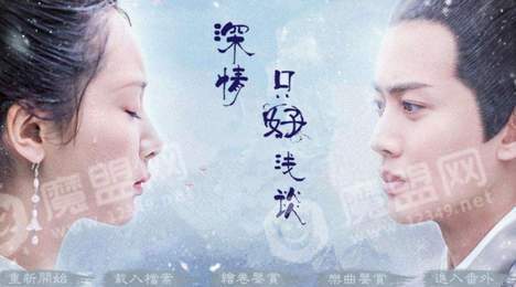 深情只好浅谈3