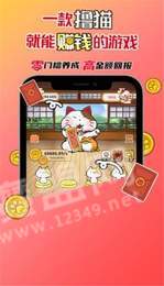 神猫侠侣红包版1