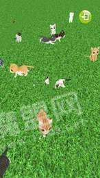 我们去抓猫2
