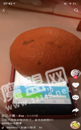 touchscale.点co1