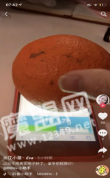 touchscale.点co3