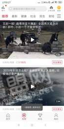 辣椒转2