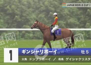 日本搞笑赛马2