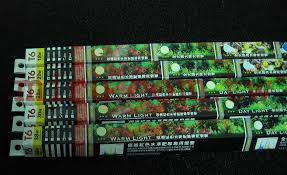 植物彩雅合集