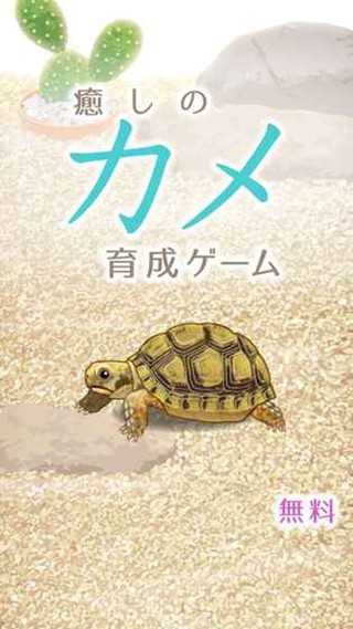 治愈的龟养成最新版1