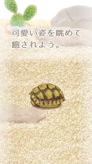 治愈的龟养成最新版2