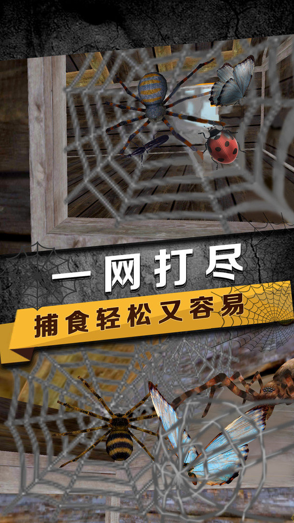 蜘蛛模拟生存免费版1
