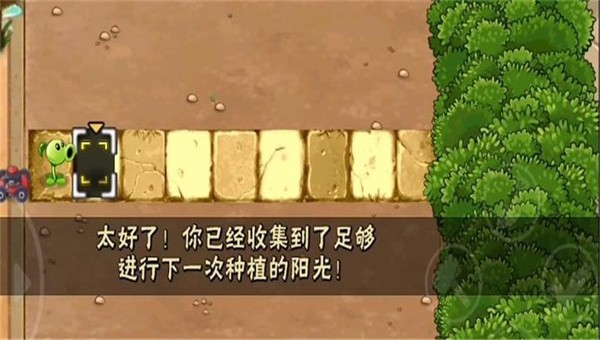 植物大战僵尸H版安卓版3