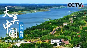 智慧宁乡合集