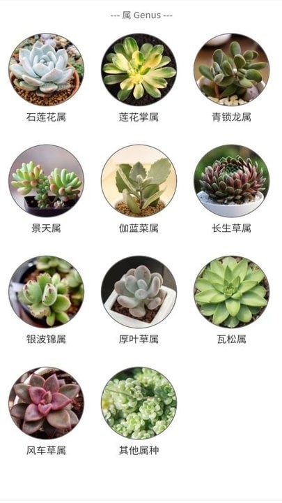 植物君手机版3