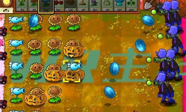 植物大战僵尸WR版安卓版3