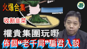 植物君合集