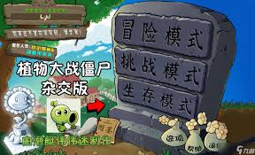 植物大战僵尸鉴版合集