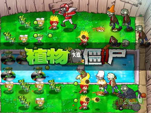 植物大战僵尸真人版最新版3